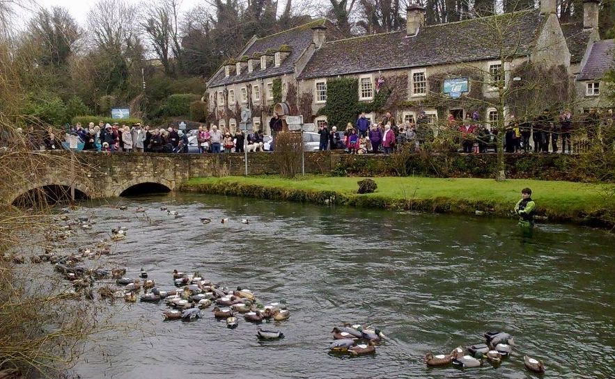 Decoy ducks floating down the river in the first charity race which precedes "the big one". 
